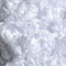 alt-tag